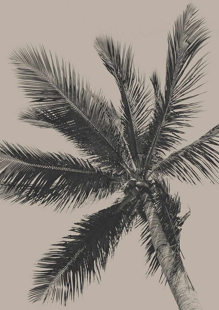 Palm Tree art print by Eda Unsoy for $57.95 CAD