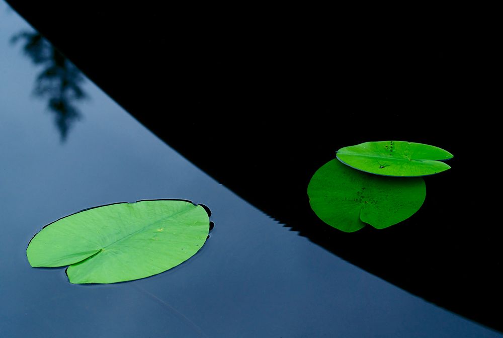 In the shade off a boat. art print by Allan Wallberg for $57.95 CAD