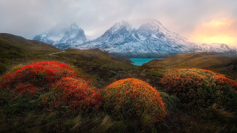 Spring In Patagonia art print by Rong Wei for $57.95 CAD