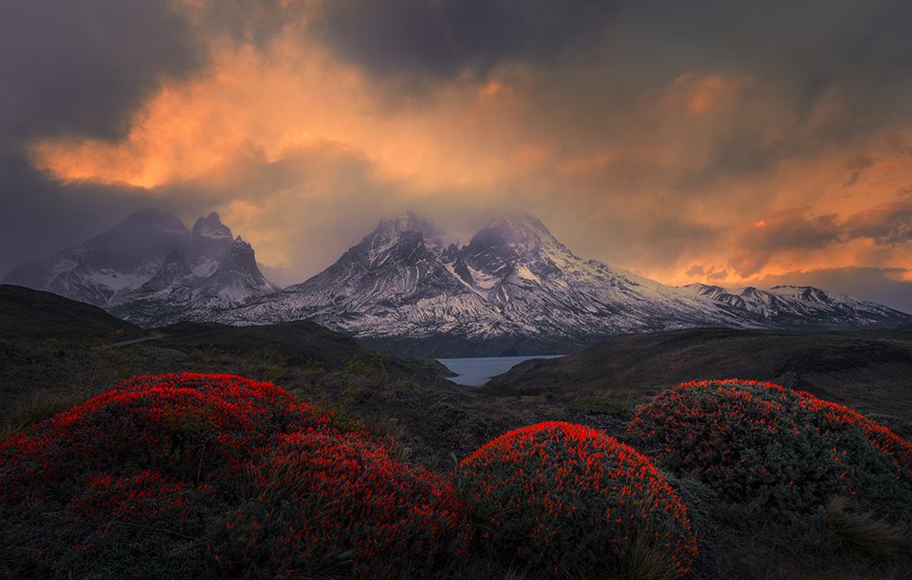 Fire Balls of Torres del Paine art print by Ruiqing P. for $57.95 CAD