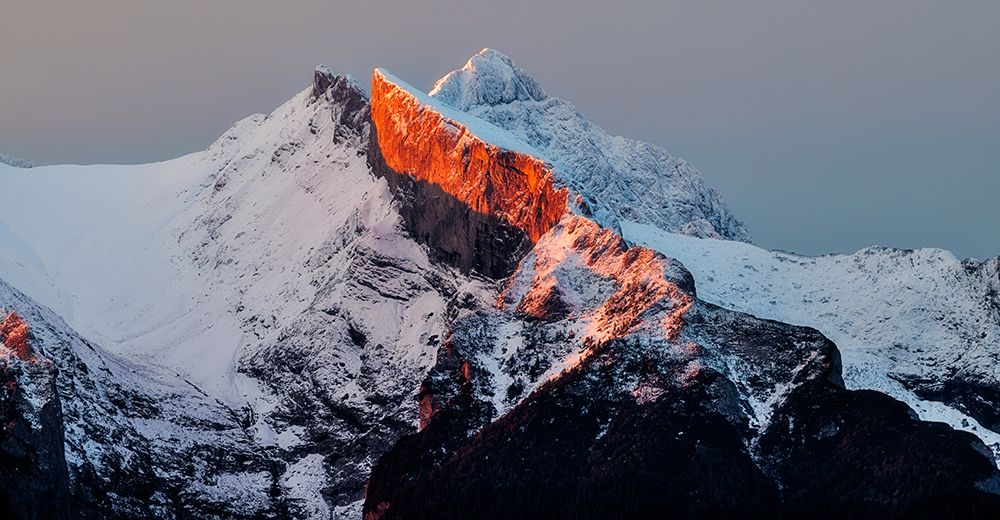 Orange Morning Pick art print by Slawomir Kowalczyk for $57.95 CAD