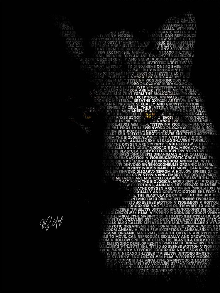 Wolf art print by Ojenike Oladapo for $57.95 CAD