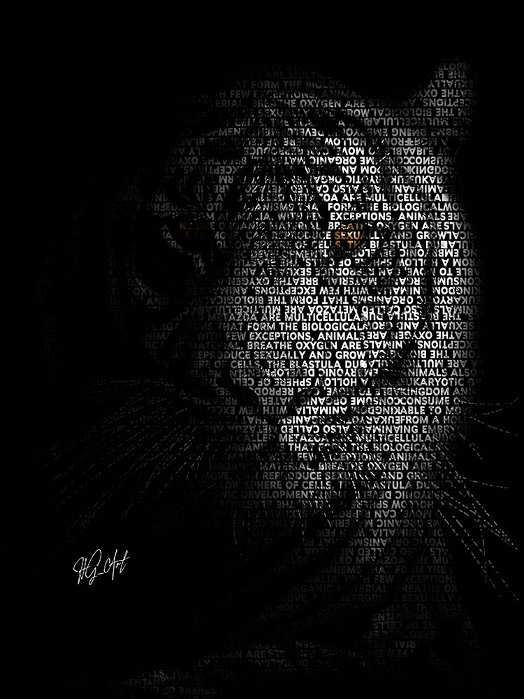 The Tiger art print by Ojenike Oladapo for $57.95 CAD
