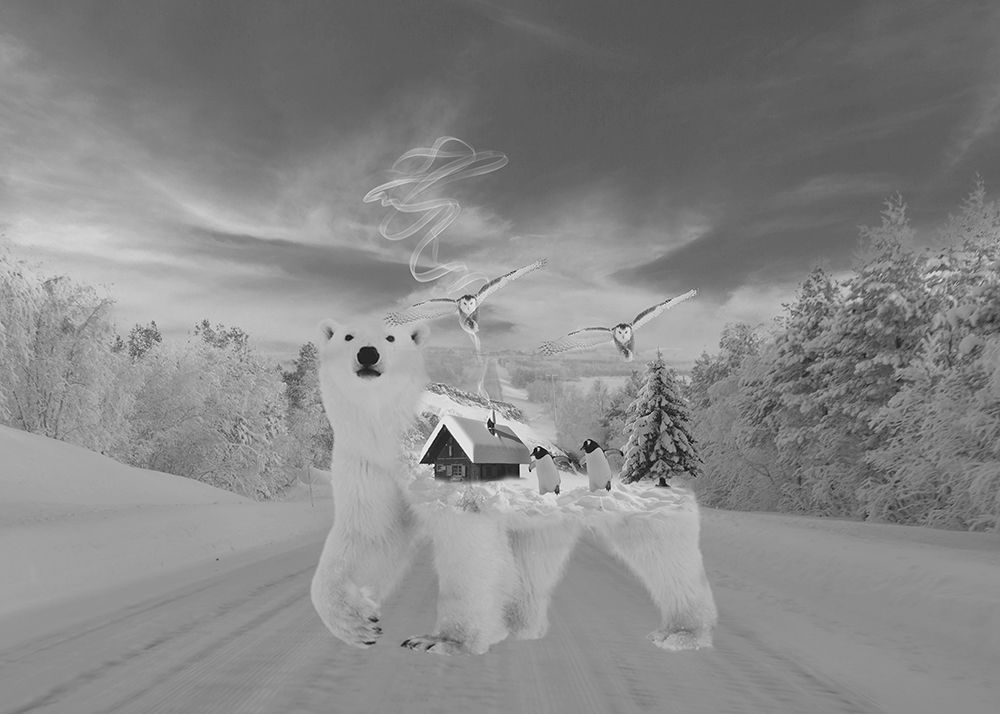 Polar Bear art print by Salome Zhividze for $57.95 CAD
