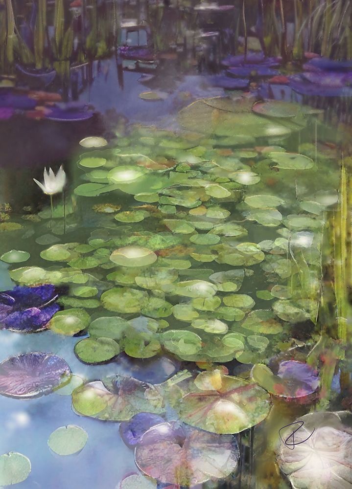 Lily Pad Pond art print by Ruth Day for $57.95 CAD