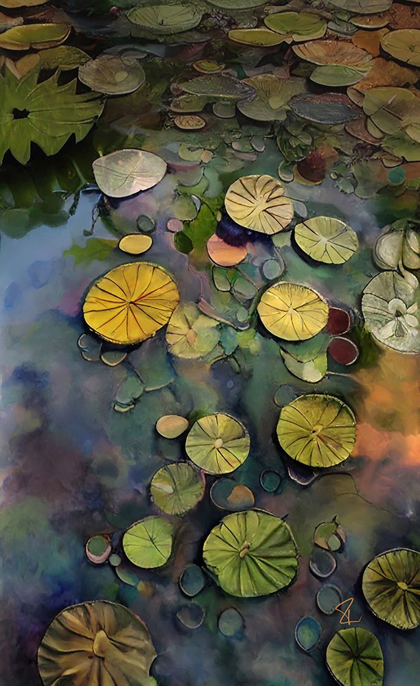 Lily Pads art print by Ruth Day for $57.95 CAD