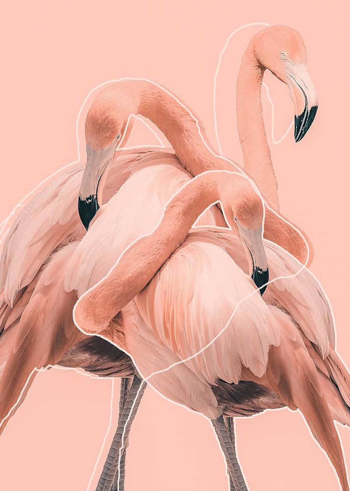 Flamingos Nr. 1 art print by Baard Martinussen for $57.95 CAD