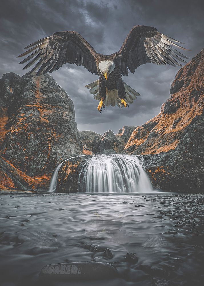 Eagle 1 art print by Baard Martinussen for $57.95 CAD