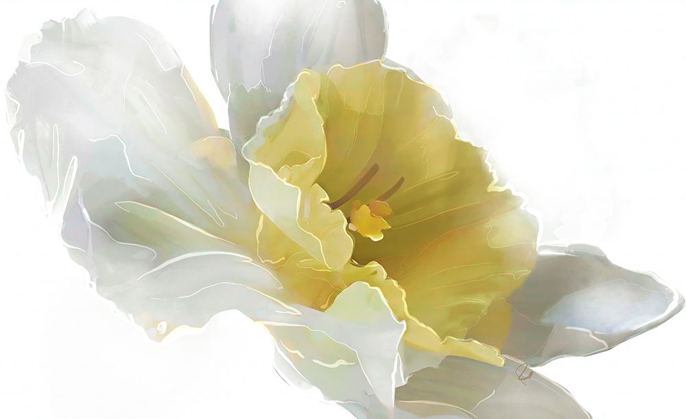 Daffodil art print by Ruth Day for $57.95 CAD