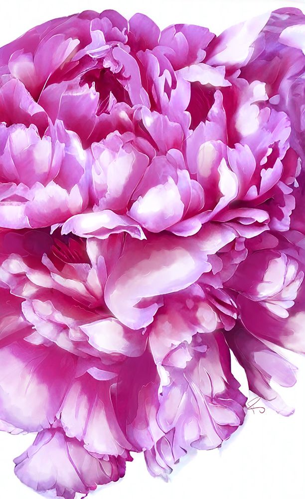 Pink Peony art print by Ruth Day for $57.95 CAD