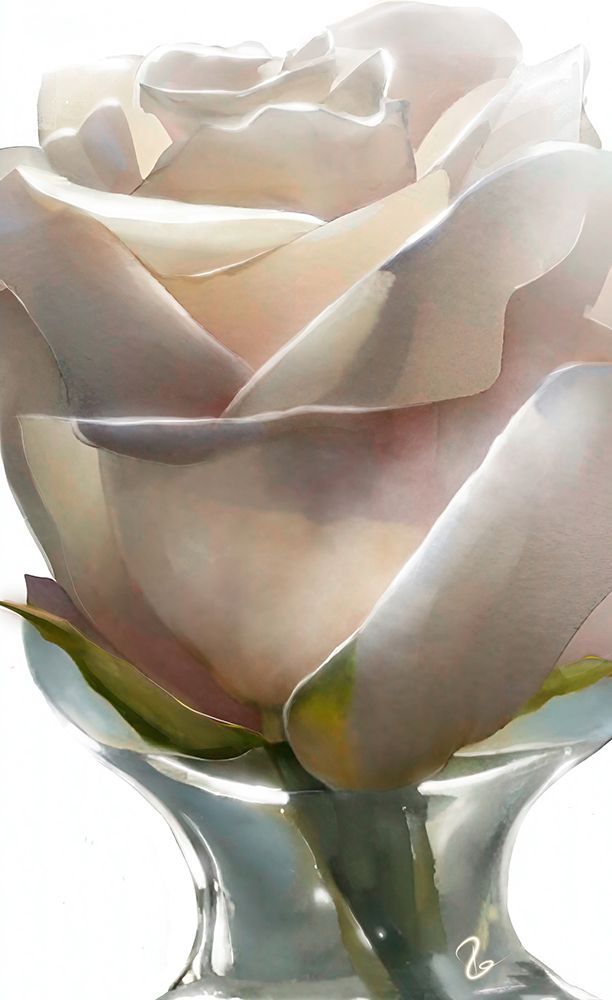 White Rose art print by Ruth Day for $57.95 CAD