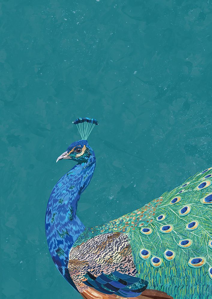 Turquoise peacock art print by Sarah Manovski for $57.95 CAD