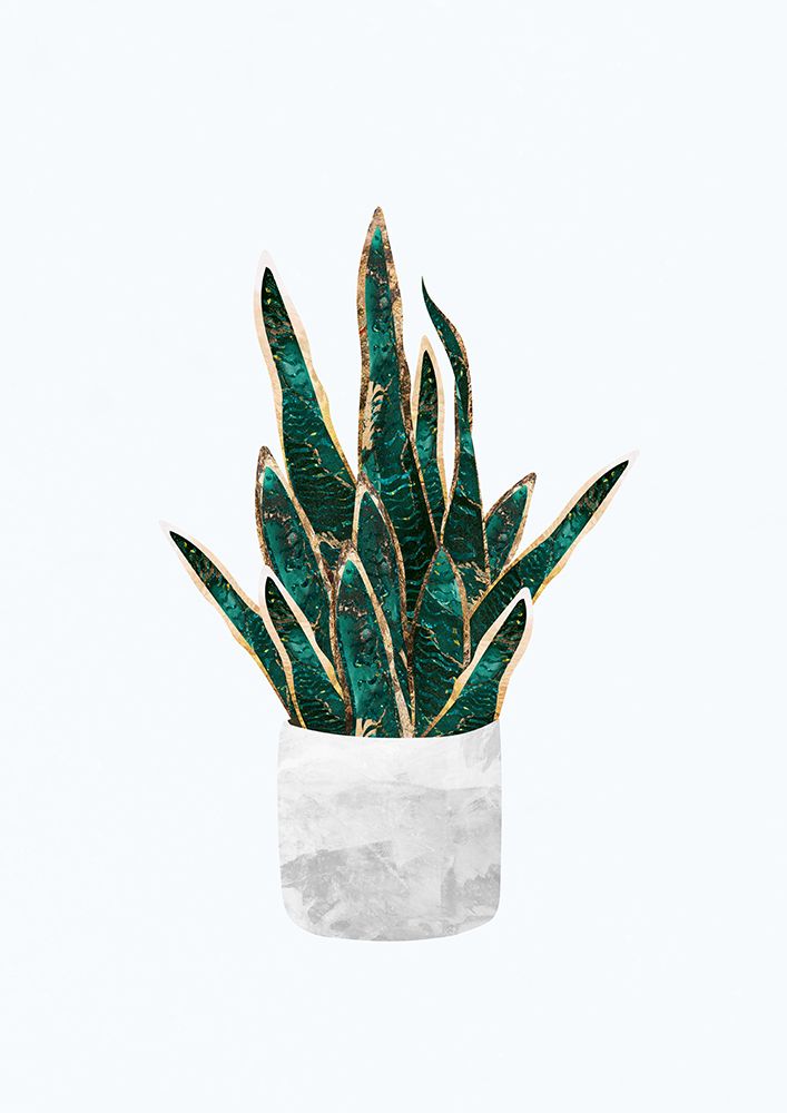 Snake Plant art print by Sarah Manovski for $57.95 CAD