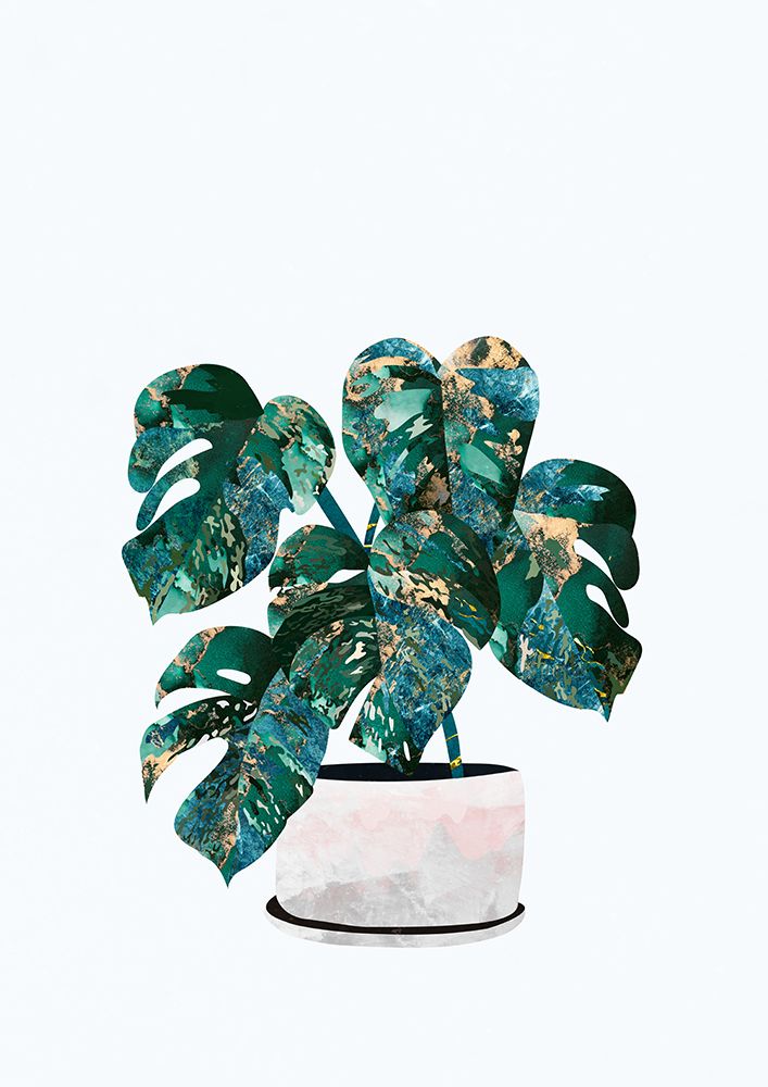 Monstera house plant art print by Sarah Manovski for $57.95 CAD