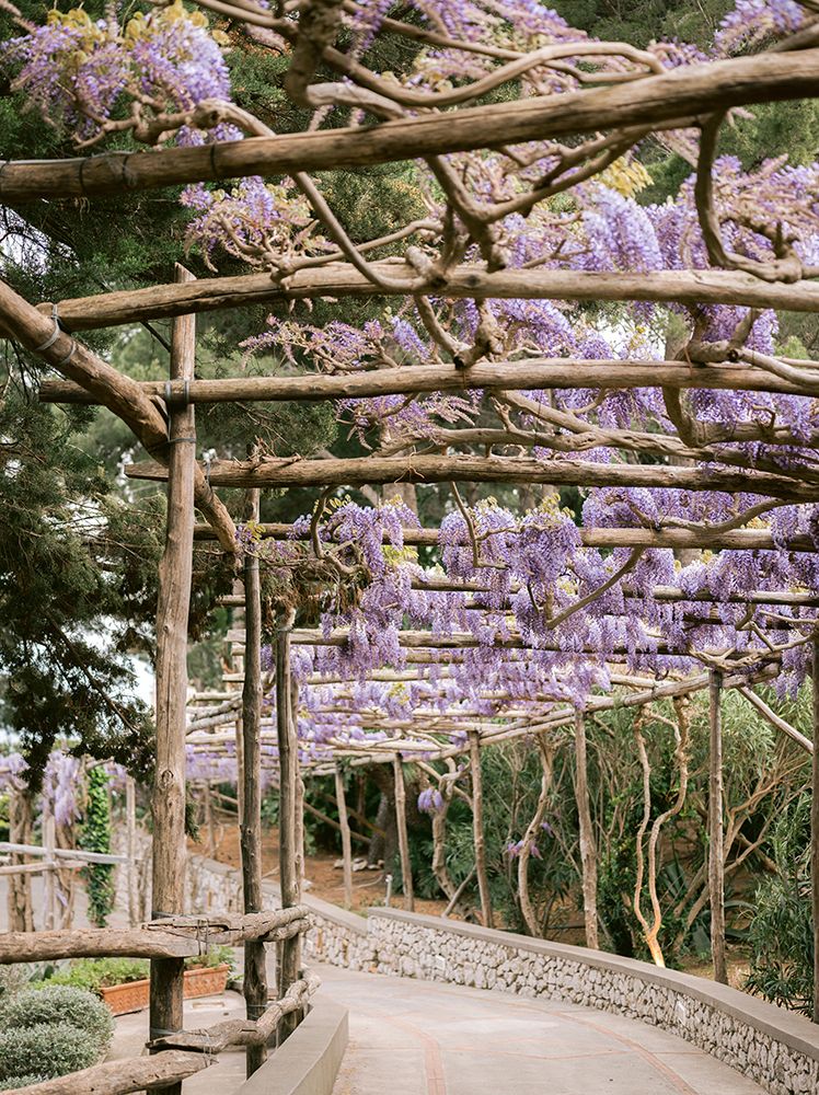 The Lavender Walkway art print by Raisa Zwart for $57.95 CAD