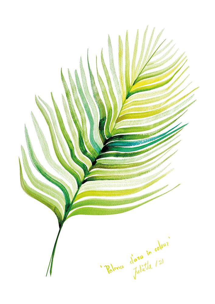Palma doro in colour art print by Julija Belickiene for $57.95 CAD