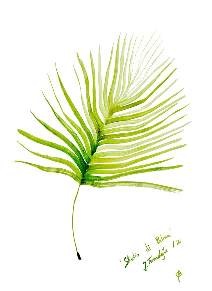 Studio di Palma art print by Julija Belickiene for $57.95 CAD