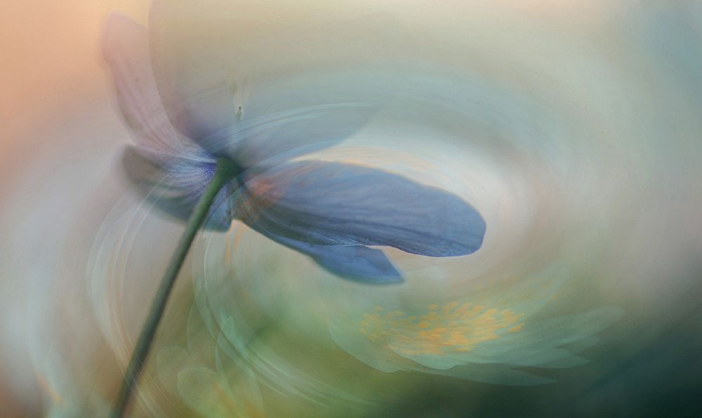 Vayryra. art print by Ylva Sjogren for $57.95 CAD