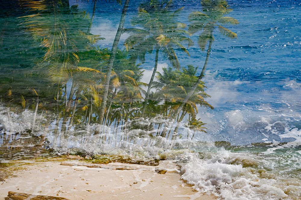 Parabeach art print by Viktoria Czegledi for $57.95 CAD