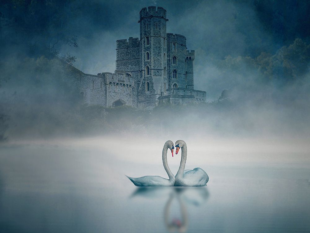 Windsor Castle And Swan art print by Jiahong Zeng for $57.95 CAD