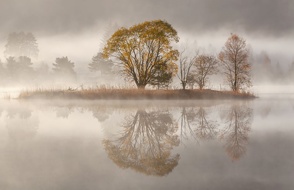 Misty Morning art print by Rune Askeland for $57.95 CAD