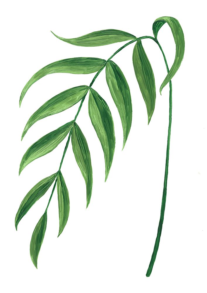 Leire green branch art print by Rosana Laiz Blursbyai for $57.95 CAD