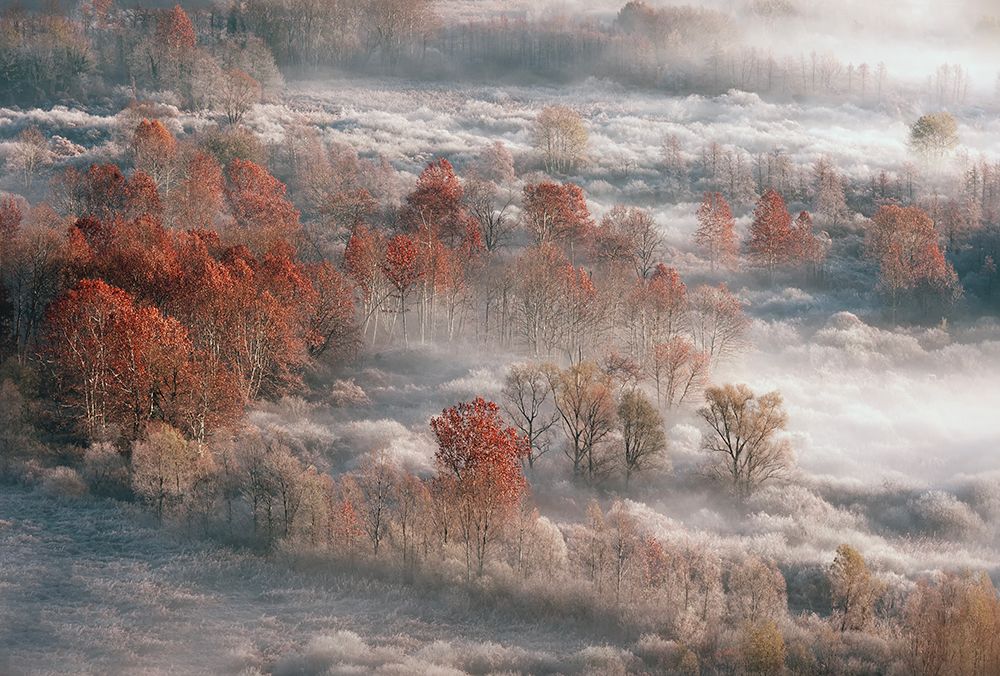 foggy time art print by Fabrizio Daminelli for $57.95 CAD
