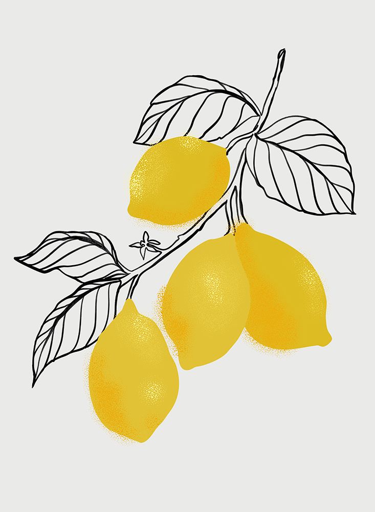 Lamya lemons art print by Rosana Laiz Blursbyai for $57.95 CAD
