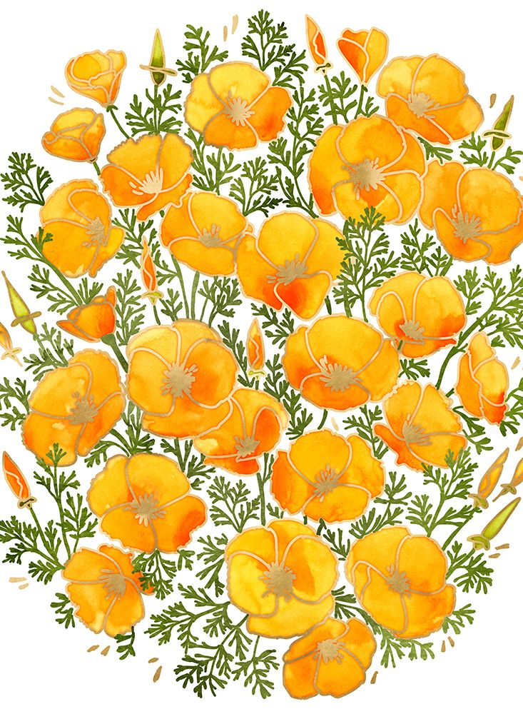 Gold accented California poppies art print by Rosana Laiz Blursbyai for $57.95 CAD