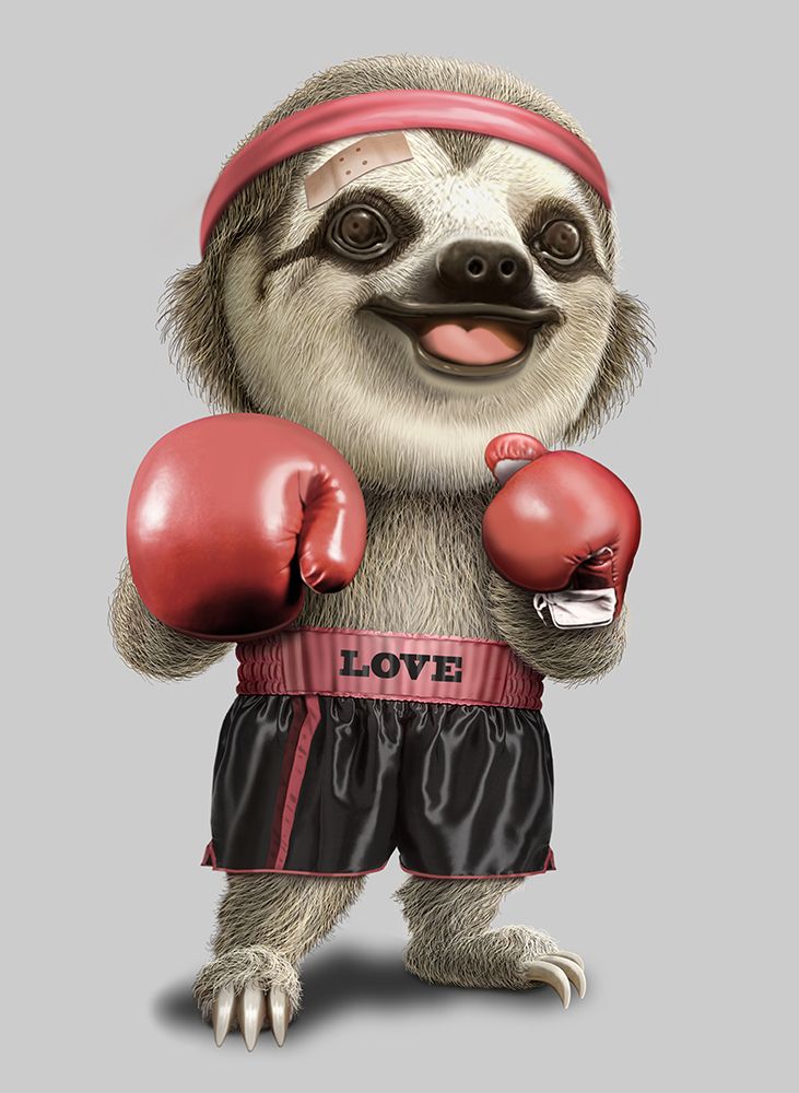 the boxing sloth art print by Adam Lawless for $57.95 CAD
