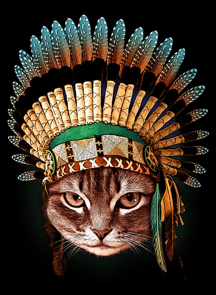 chief cat art print by Adam Lawless for $57.95 CAD