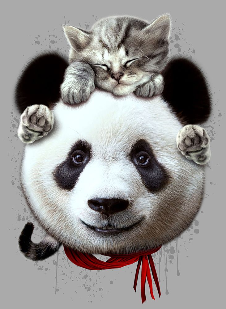 cat on panda bear art print by Adam Lawless for $57.95 CAD