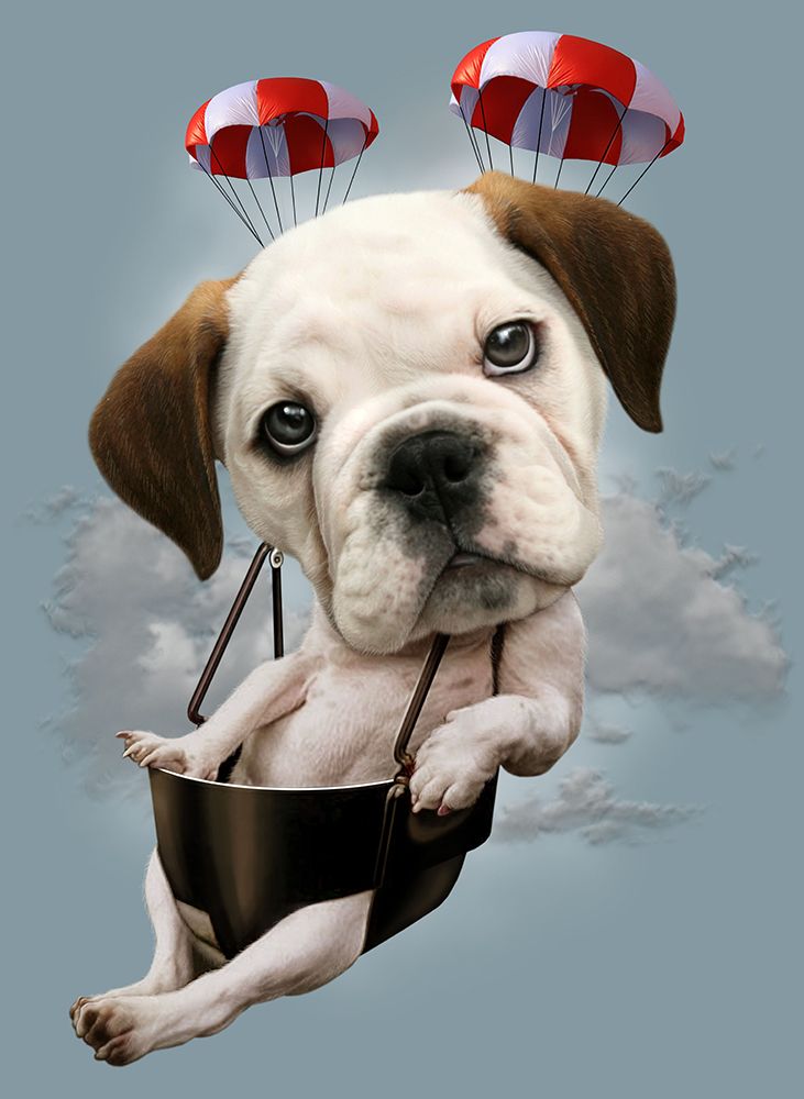 puppy on parachute art print by Adam Lawless for $57.95 CAD