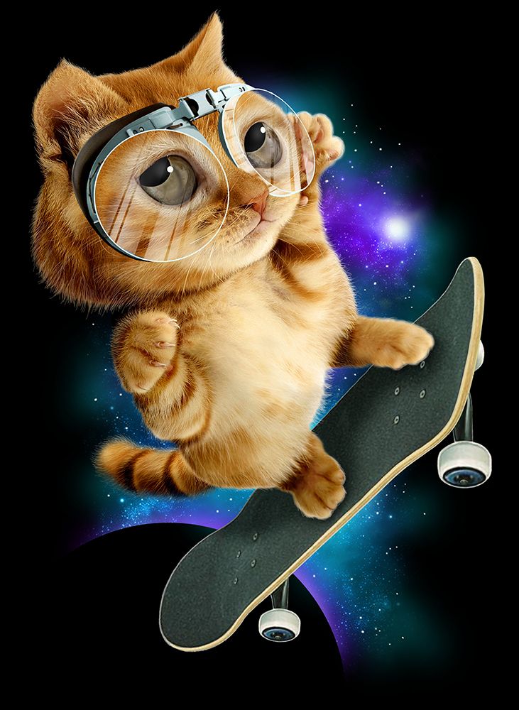 cat on skateboard art print by Adam Lawless for $57.95 CAD