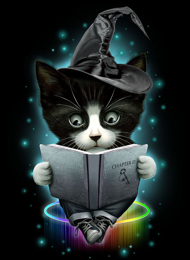 Magical Cat art print by Adam Lawless for $57.95 CAD