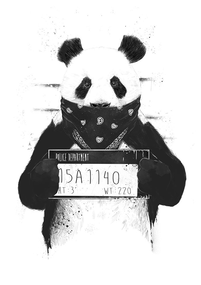 Bad Panda art print by Balazs Solti for $57.95 CAD