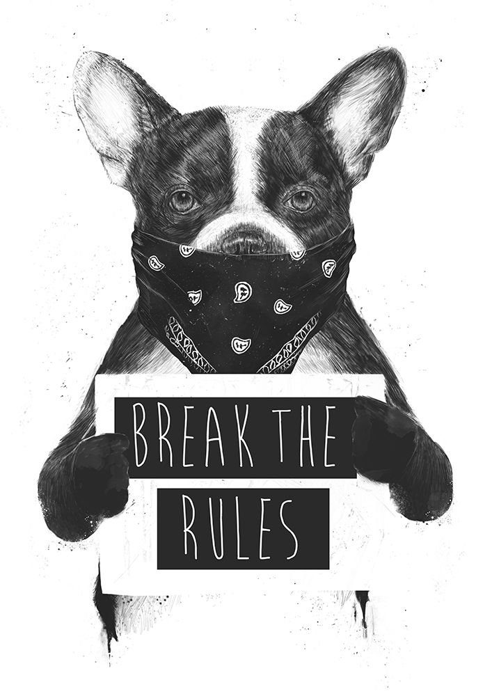 Rebel dog art print by Balazs Solti for $57.95 CAD