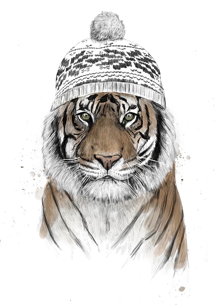 Siberian tiger art print by Balazs Solti for $57.95 CAD