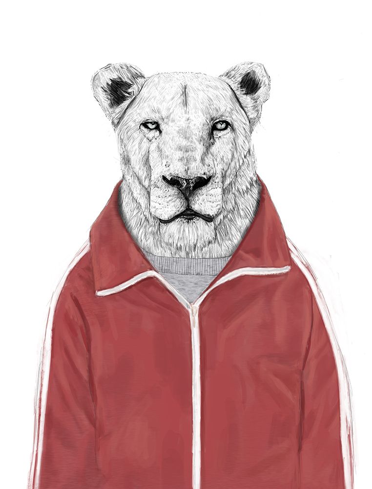Sporty Lion art print by Balazs Solti for $57.95 CAD