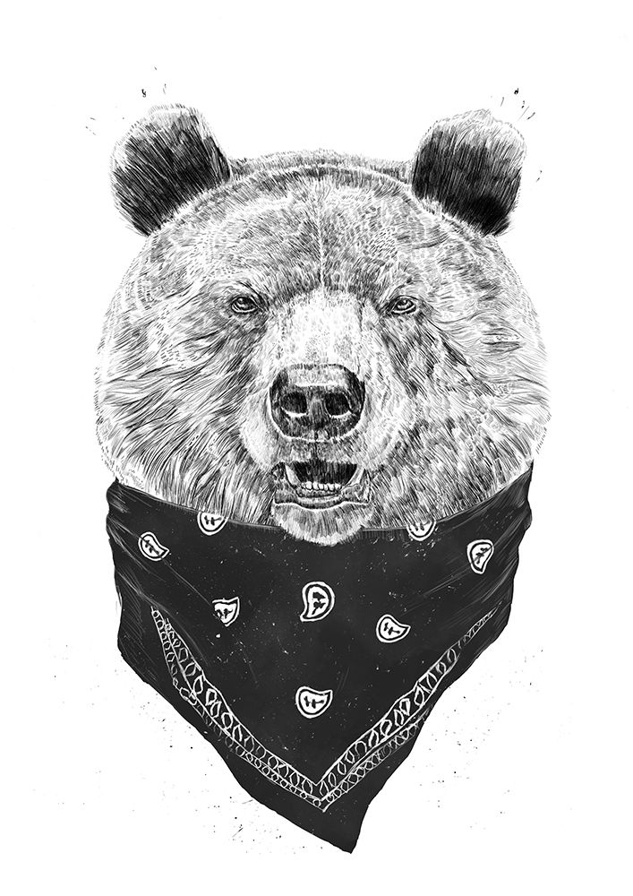 Wild bear art print by Balazs Solti for $57.95 CAD