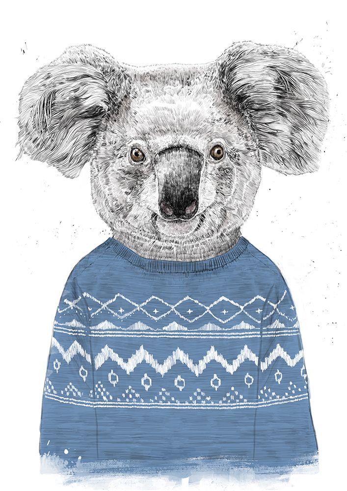 Winter koala (blue) art print by Balazs Solti for $57.95 CAD