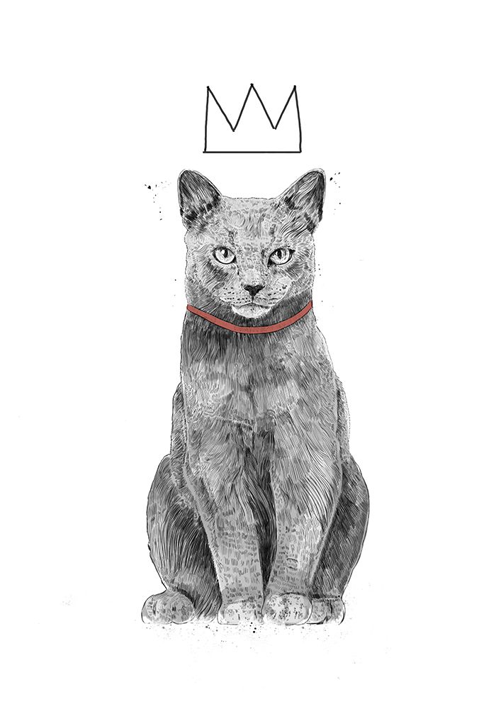 King of everything art print by Balazs Solti for $57.95 CAD