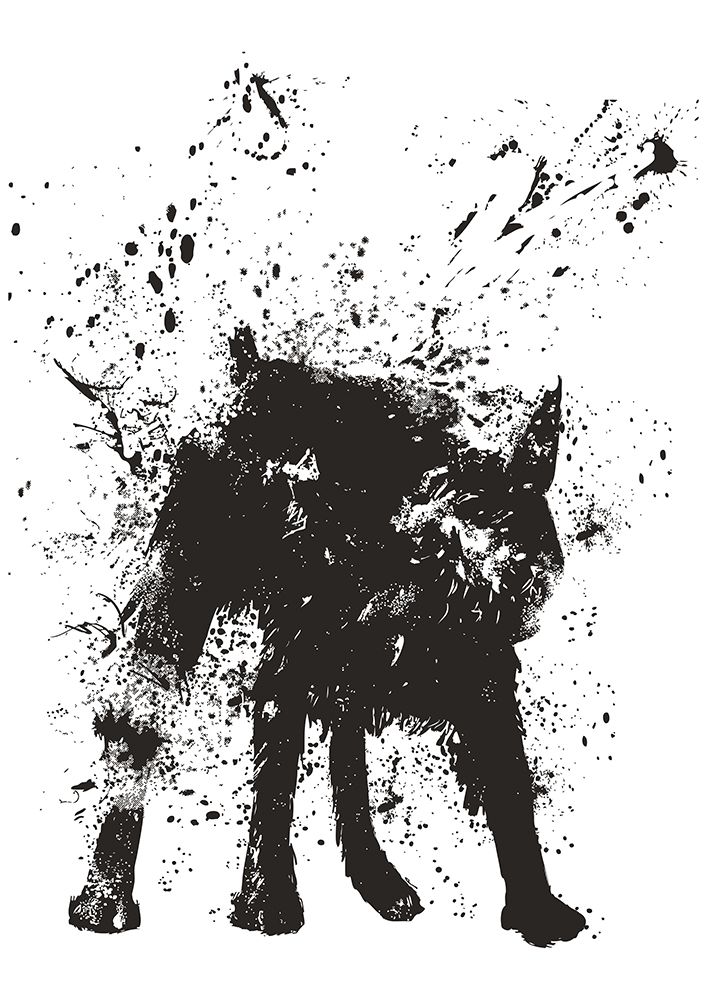 Wet dog art print by Balazs Solti for $57.95 CAD
