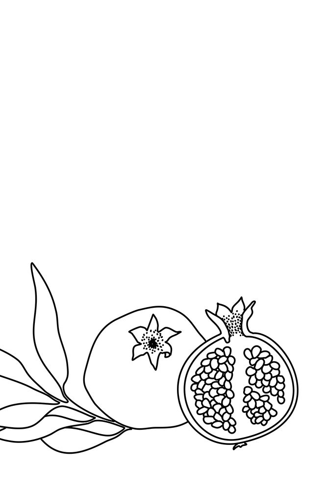 Pomegranate line art art print by Rosana Laiz Blursbyai for $57.95 CAD