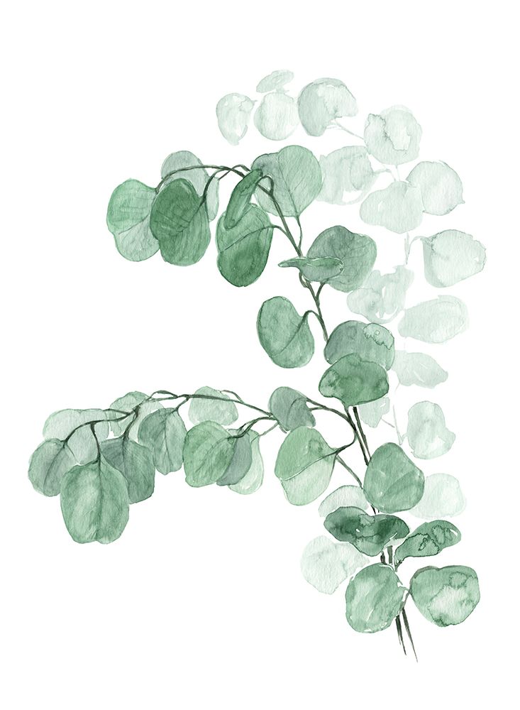 Watercolor silver dollar eucalyptus art print by Rosana Laiz Blursbyai for $57.95 CAD