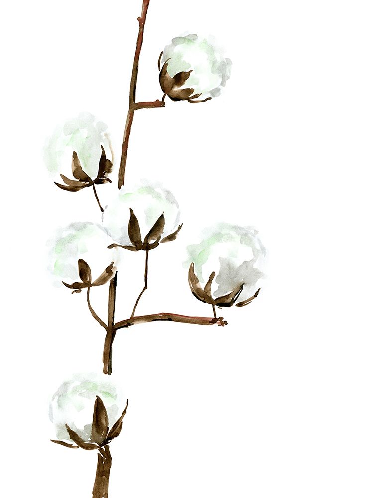 Watercolor cotton branch I art print by Rosana Laiz Blursbyai for $57.95 CAD