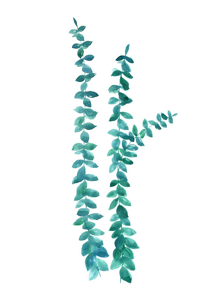 Watercolor eucalyptus branches in teal art print by Rosana Laiz Blursbyai for $57.95 CAD
