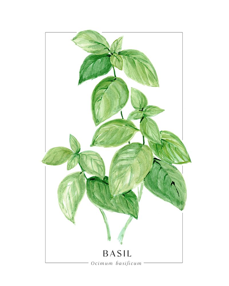Basil II art print by Rosana Laiz Blursbyai for $57.95 CAD