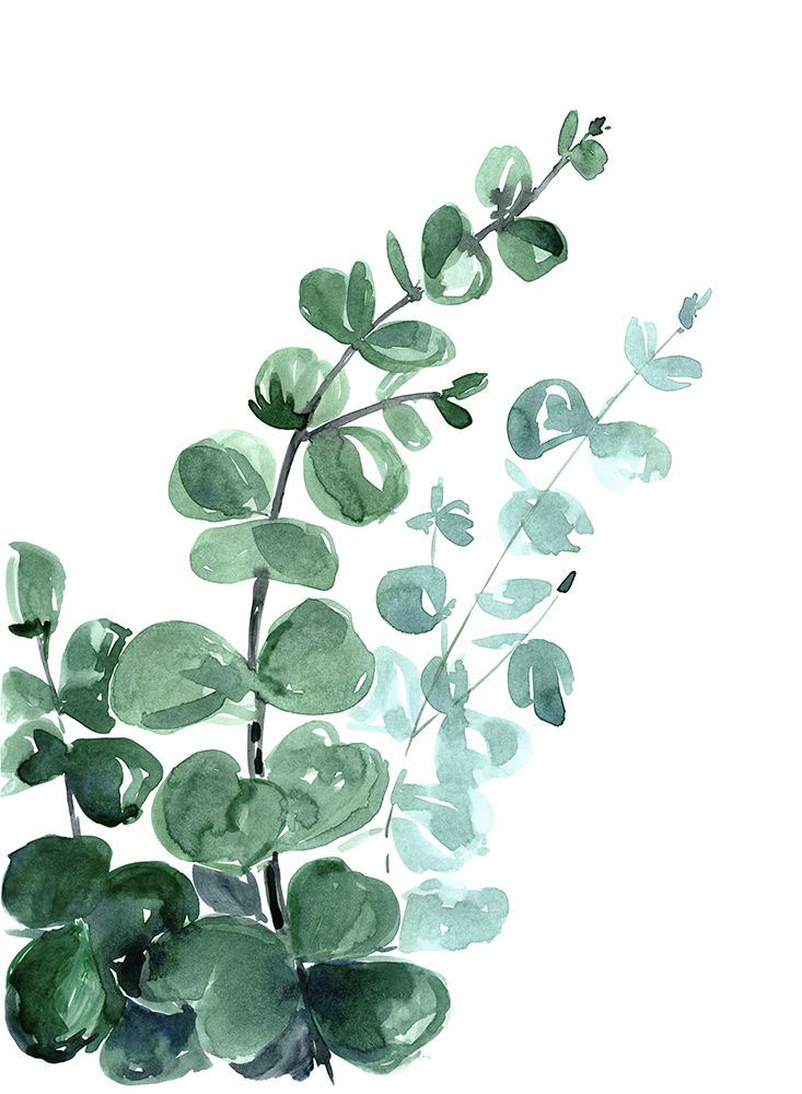 Watercolor eucalyptus bouquet art print by Rosana Laiz Blursbyai for $57.95 CAD