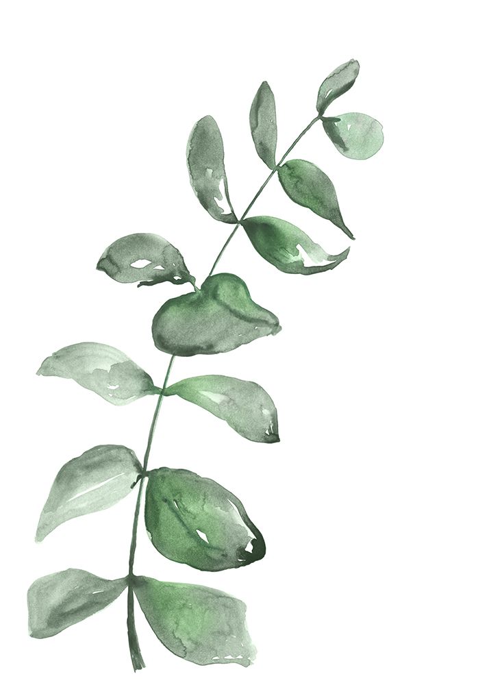 Watercolor greenery branch art print by Rosana Laiz Blursbyai for $57.95 CAD